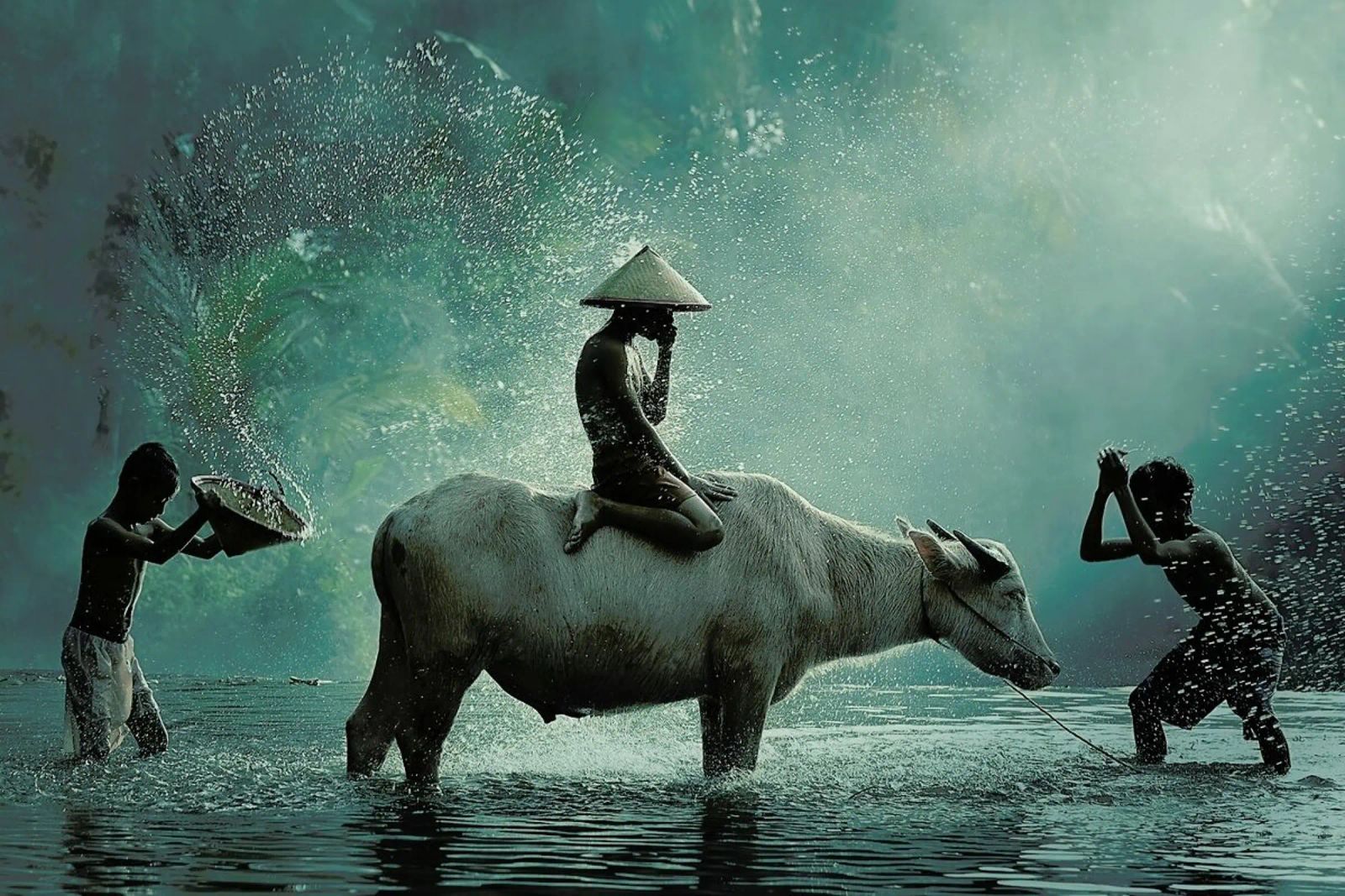 Water Buffalo - Vichaya Poster mit Kunststoffrahmen von Pictufy