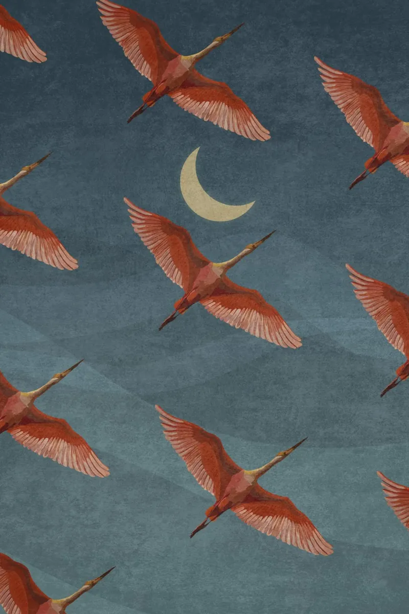 Emel Tunaboylu - Gru su cielo notturno poster da The Artcircle