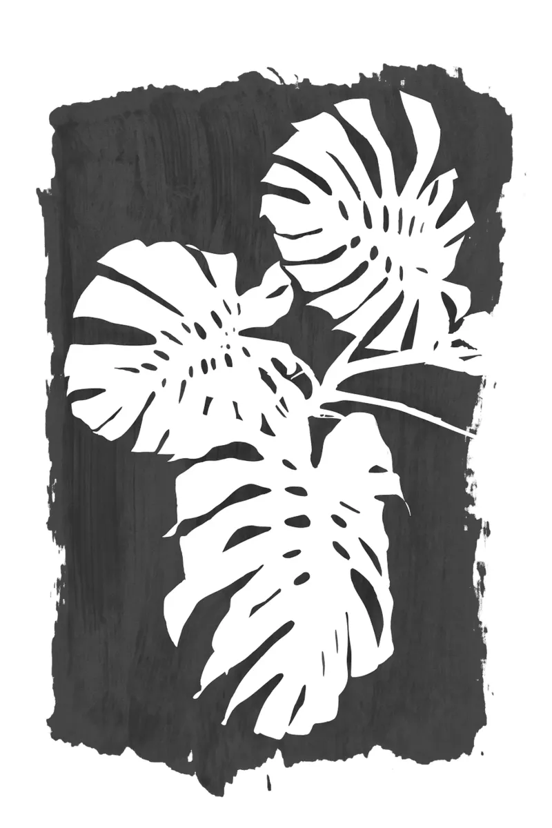 Colpo di vernice nera di Monstera carta hahnemühle da amini54