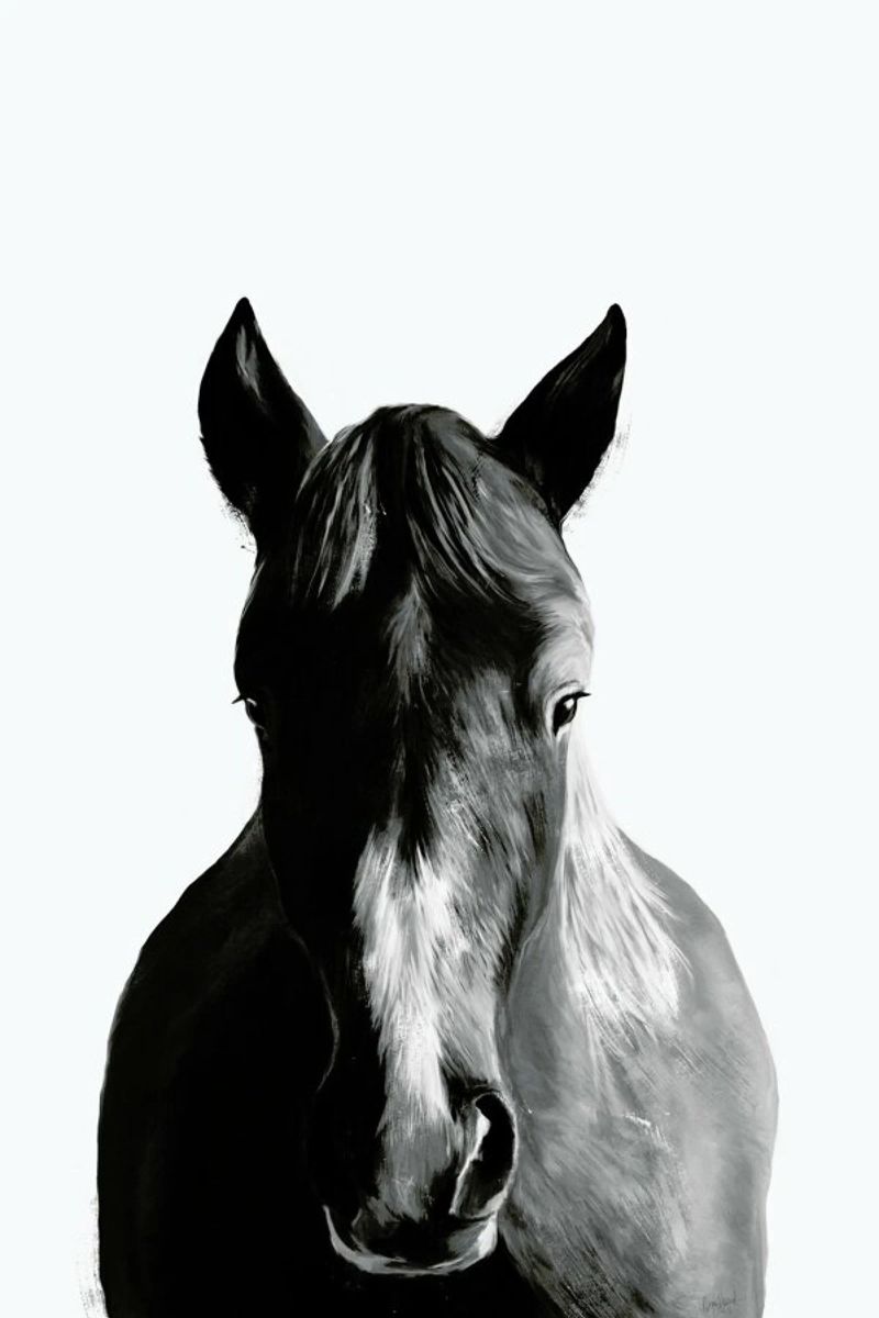 Horse poster by Amy Hamilton