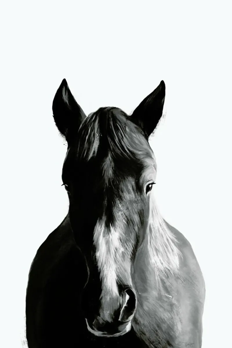 Horse poster by Amy Hamilton