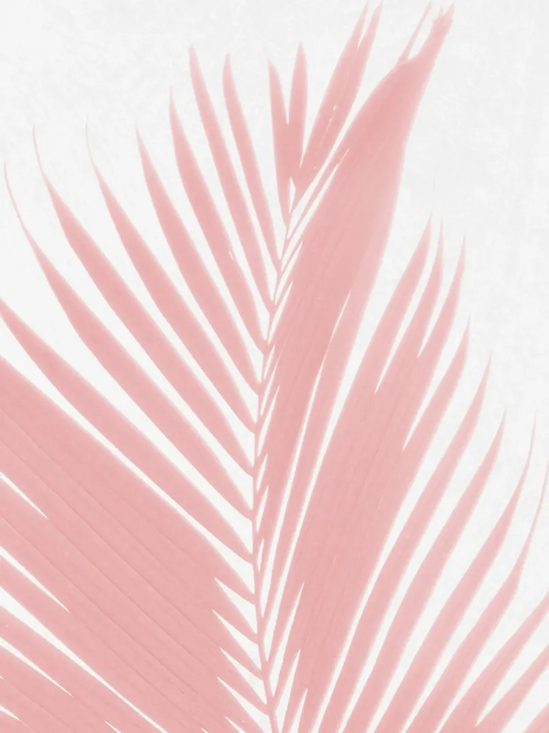 Pink Palm Leaves III canvas by amini54