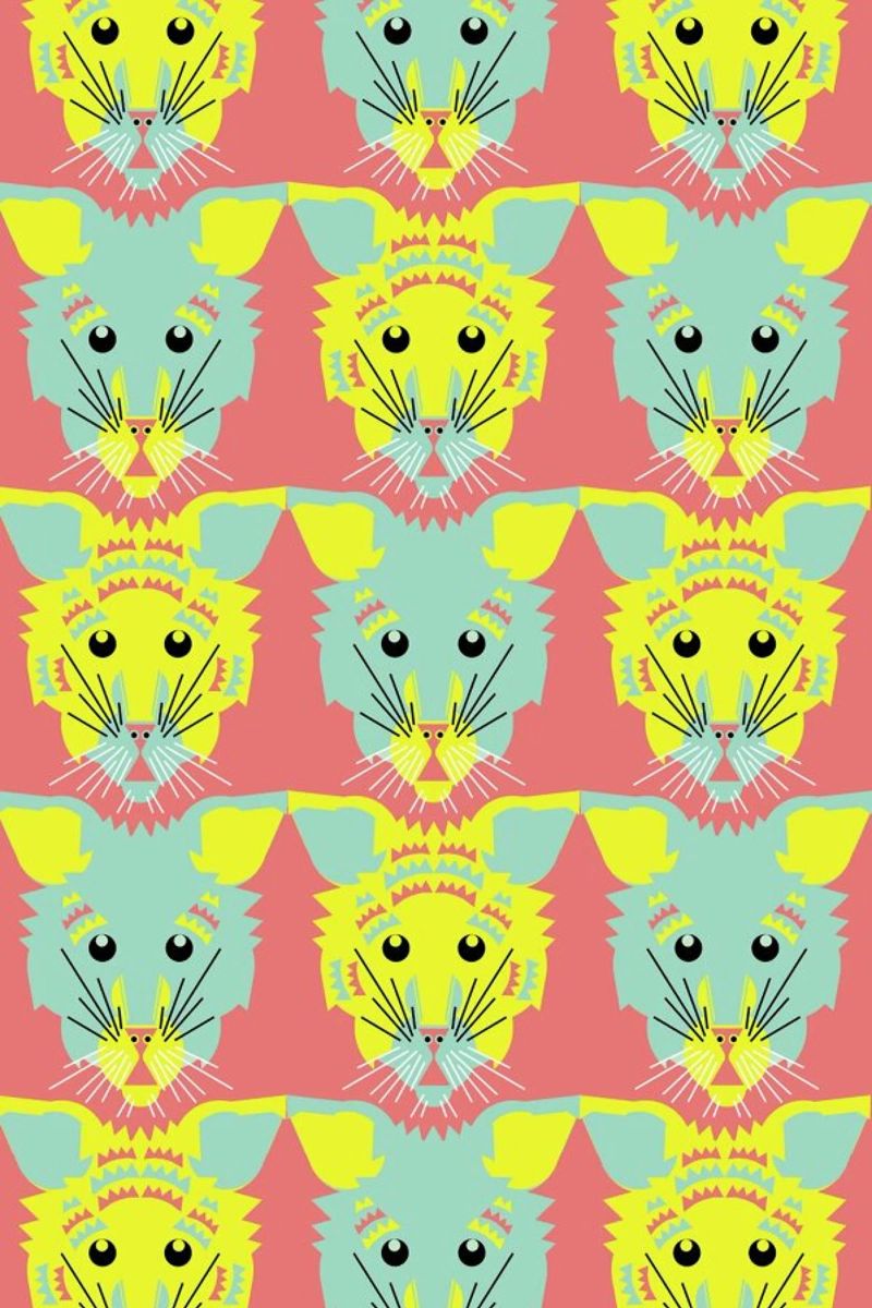 Litters of Kitten pellicola backlit da Gareth Pollock Design