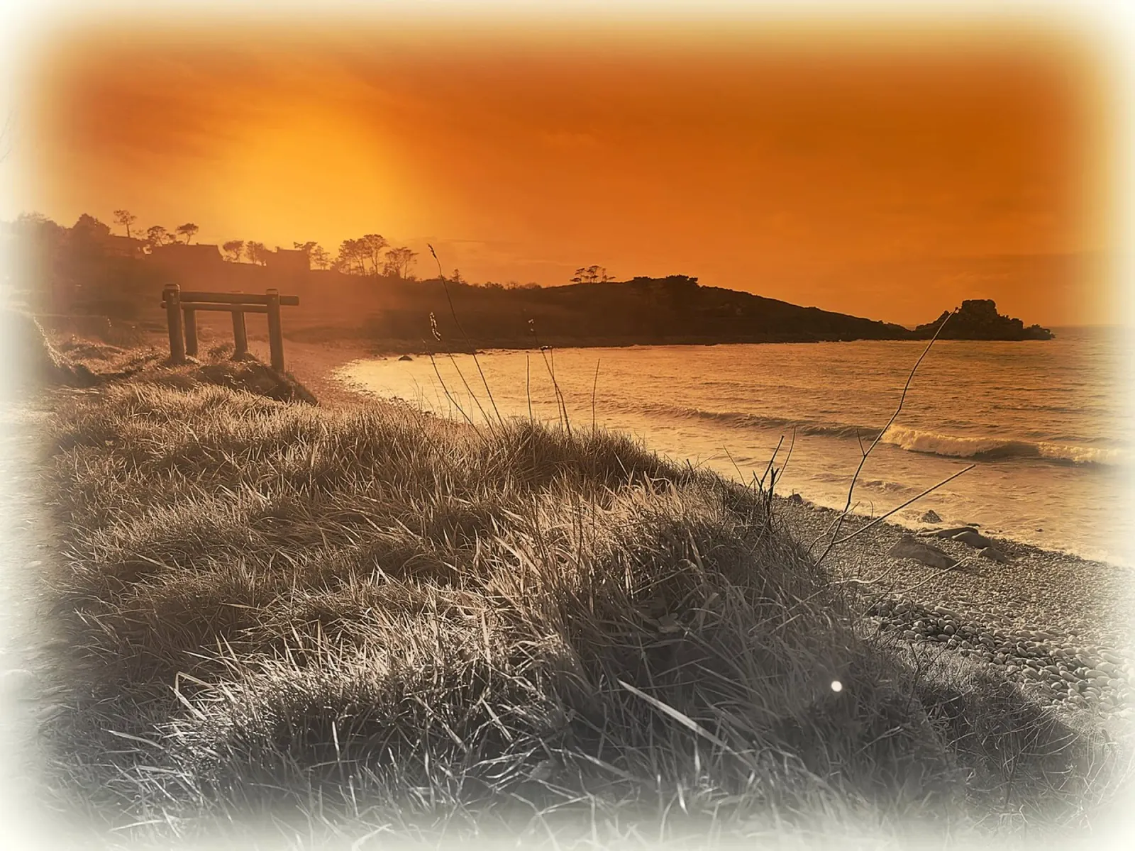FAA80 pellicola backlit da Thierry vobmann photography