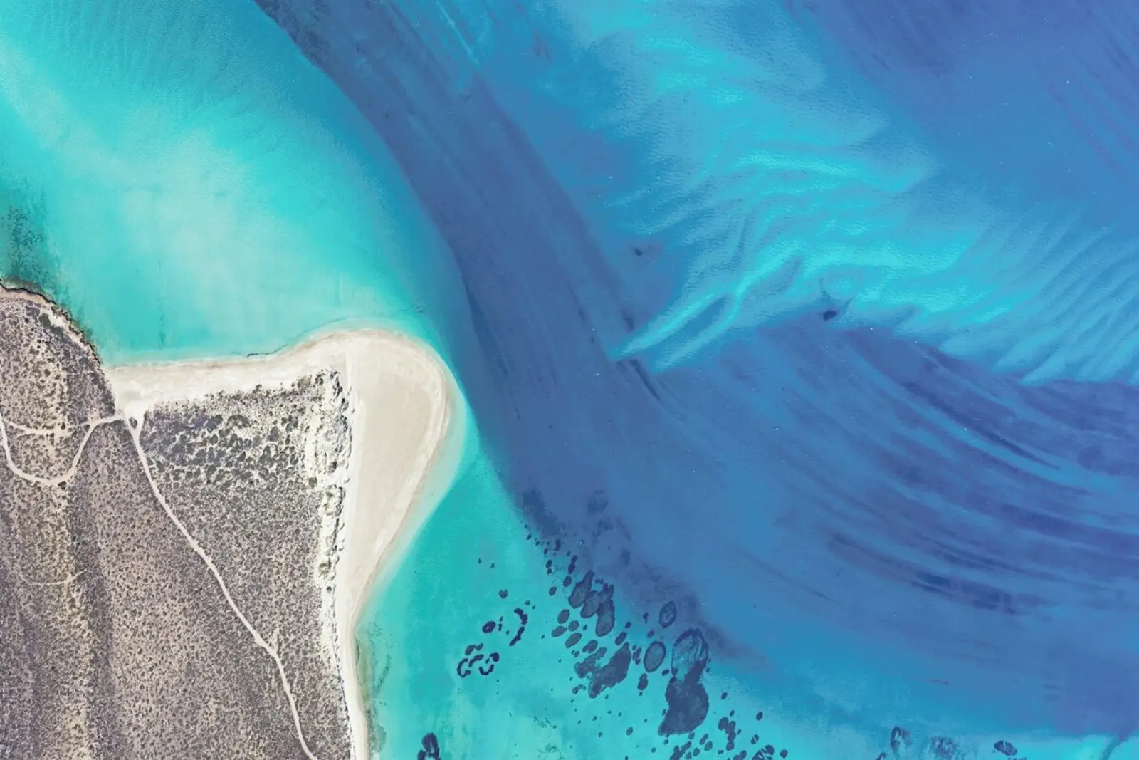 Shark Bay 5 pellicola backlit da Simon Butterworth