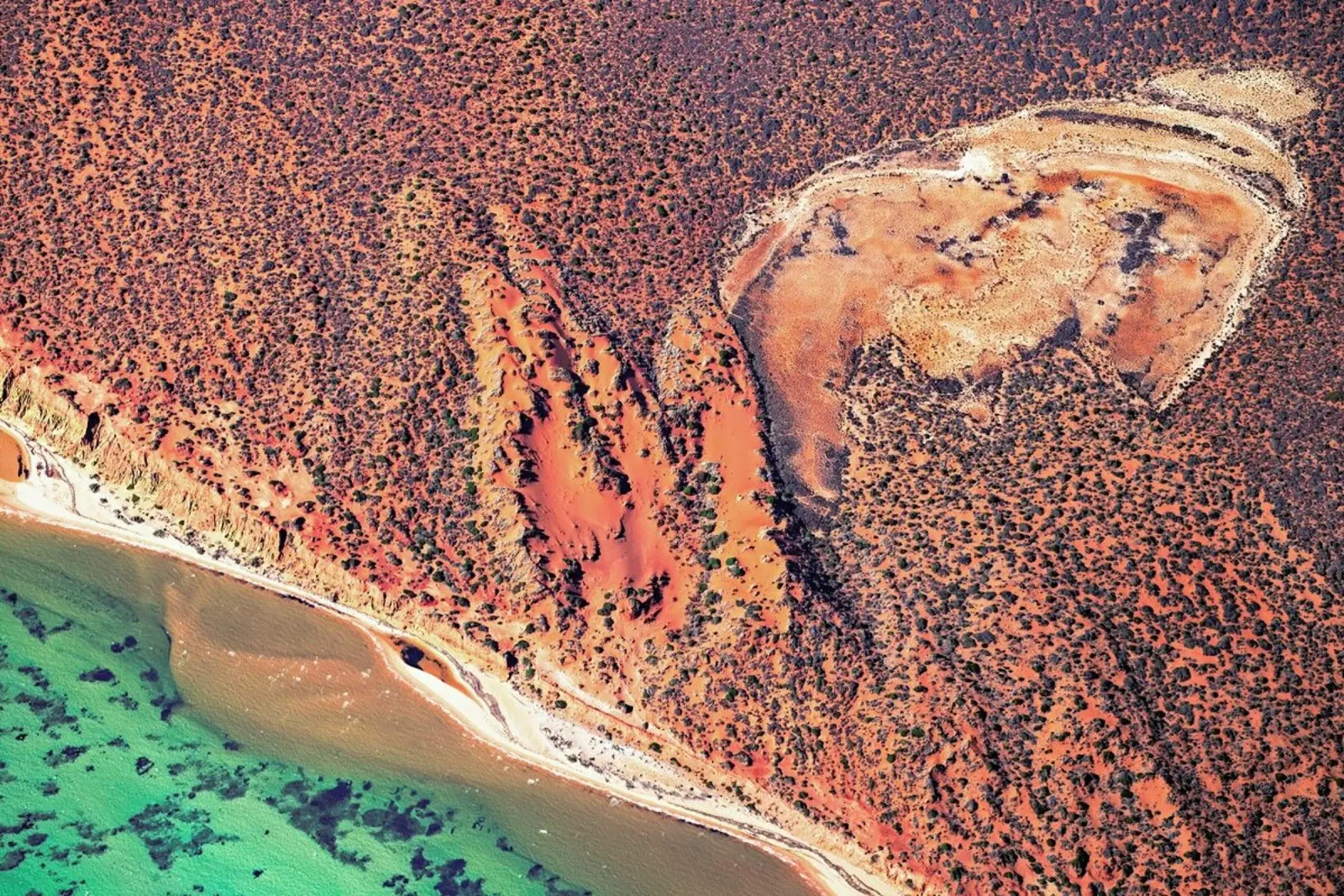 Shark Bay 11 pellicola backlit da Simon Butterworth