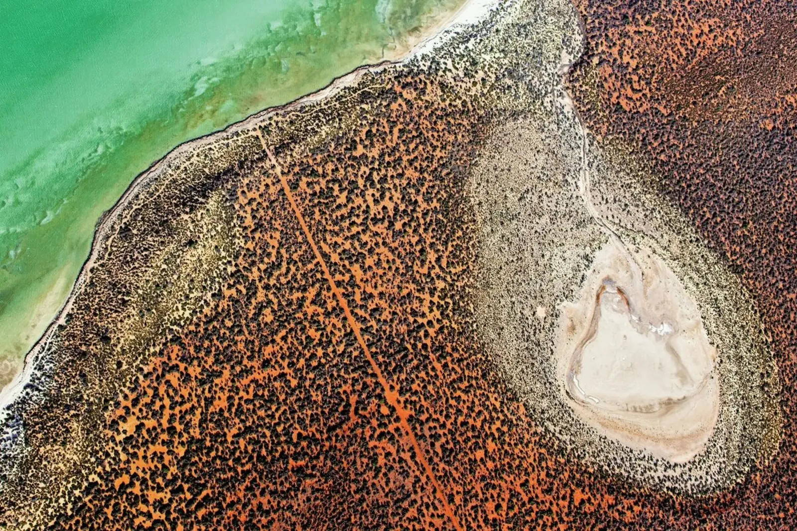 Shark Bay 18 pellicola backlit da Simon Butterworth