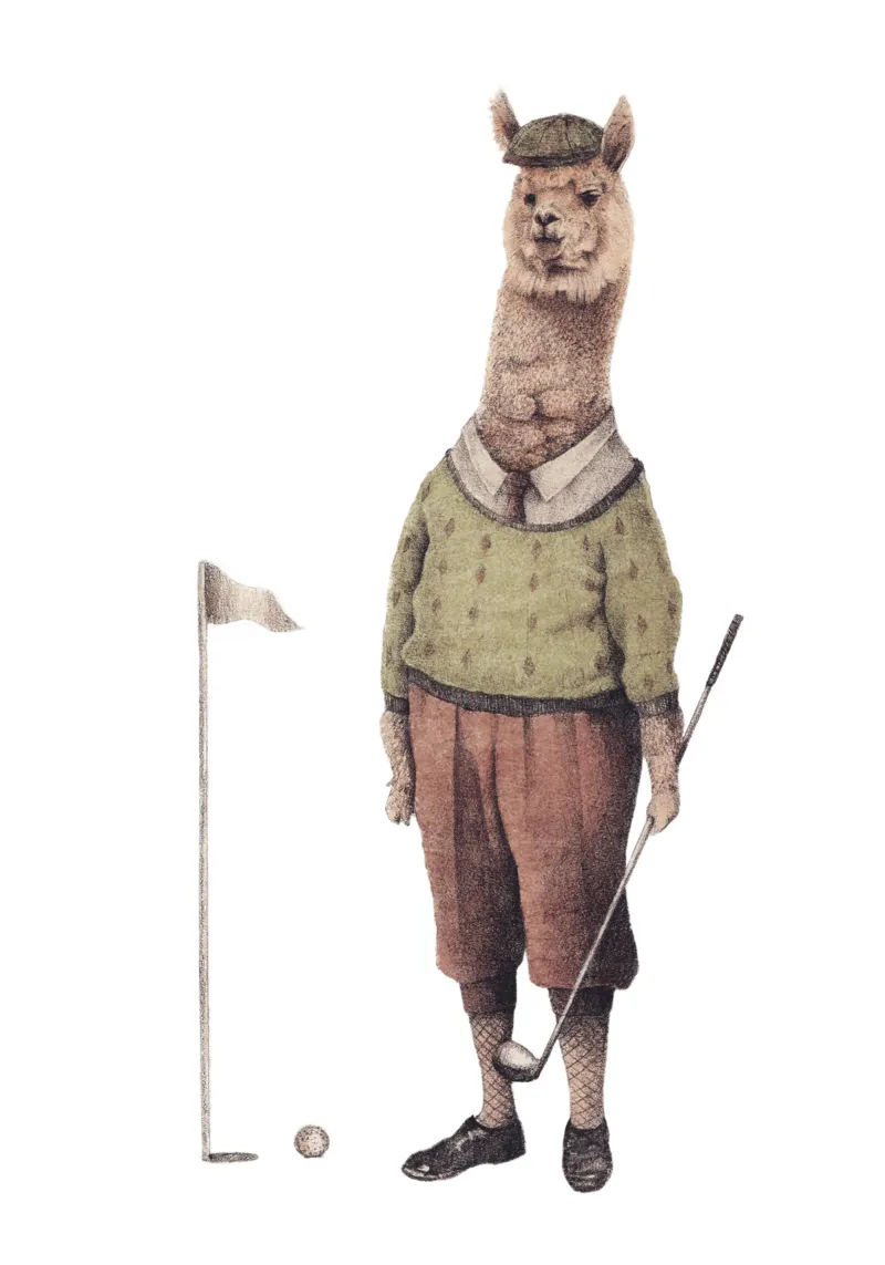 Stampa d'arte vintage sul lama che gioca a golf tela con Cornice a cassetta da mikekoubou