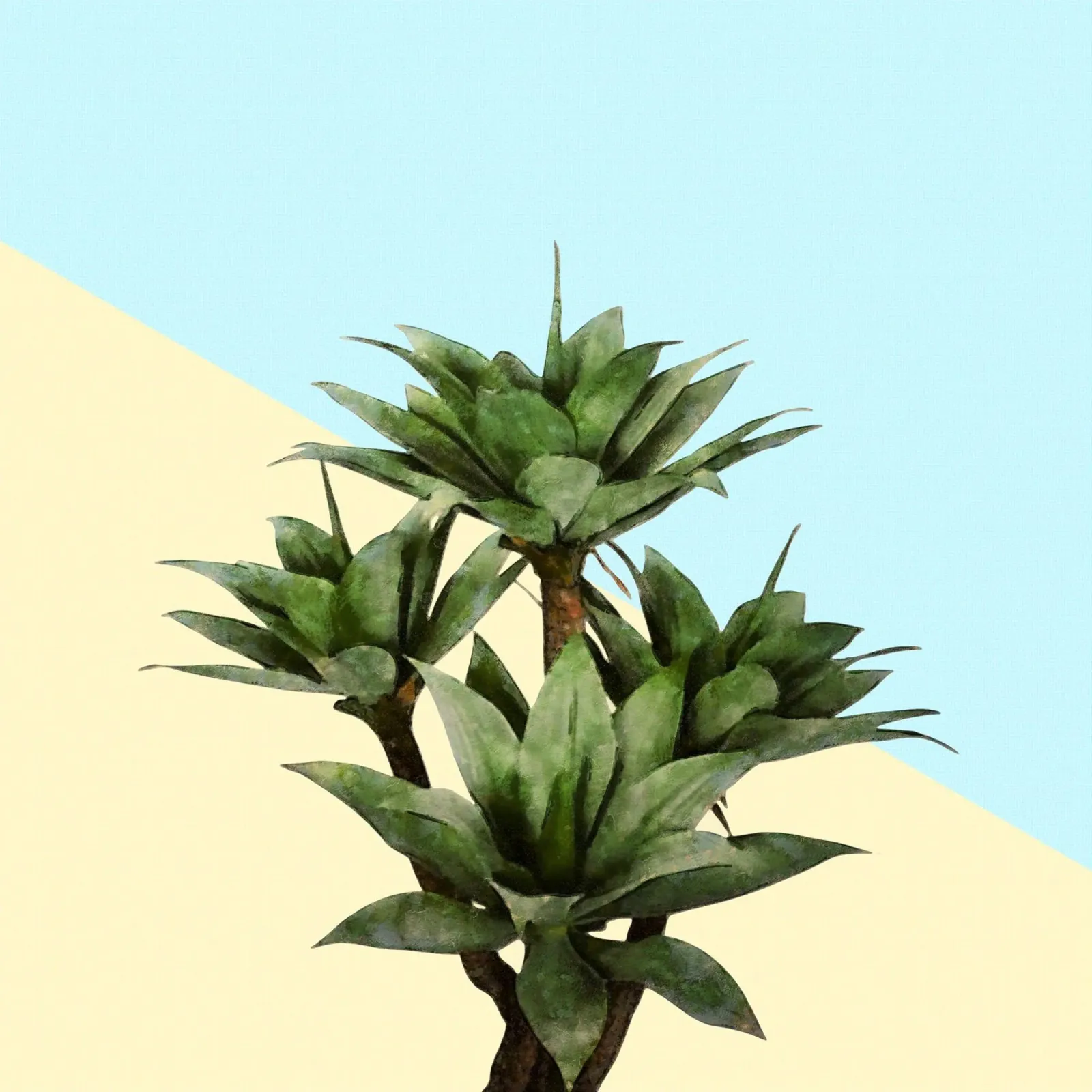 Agave 02 carta hahnemühle da amini54