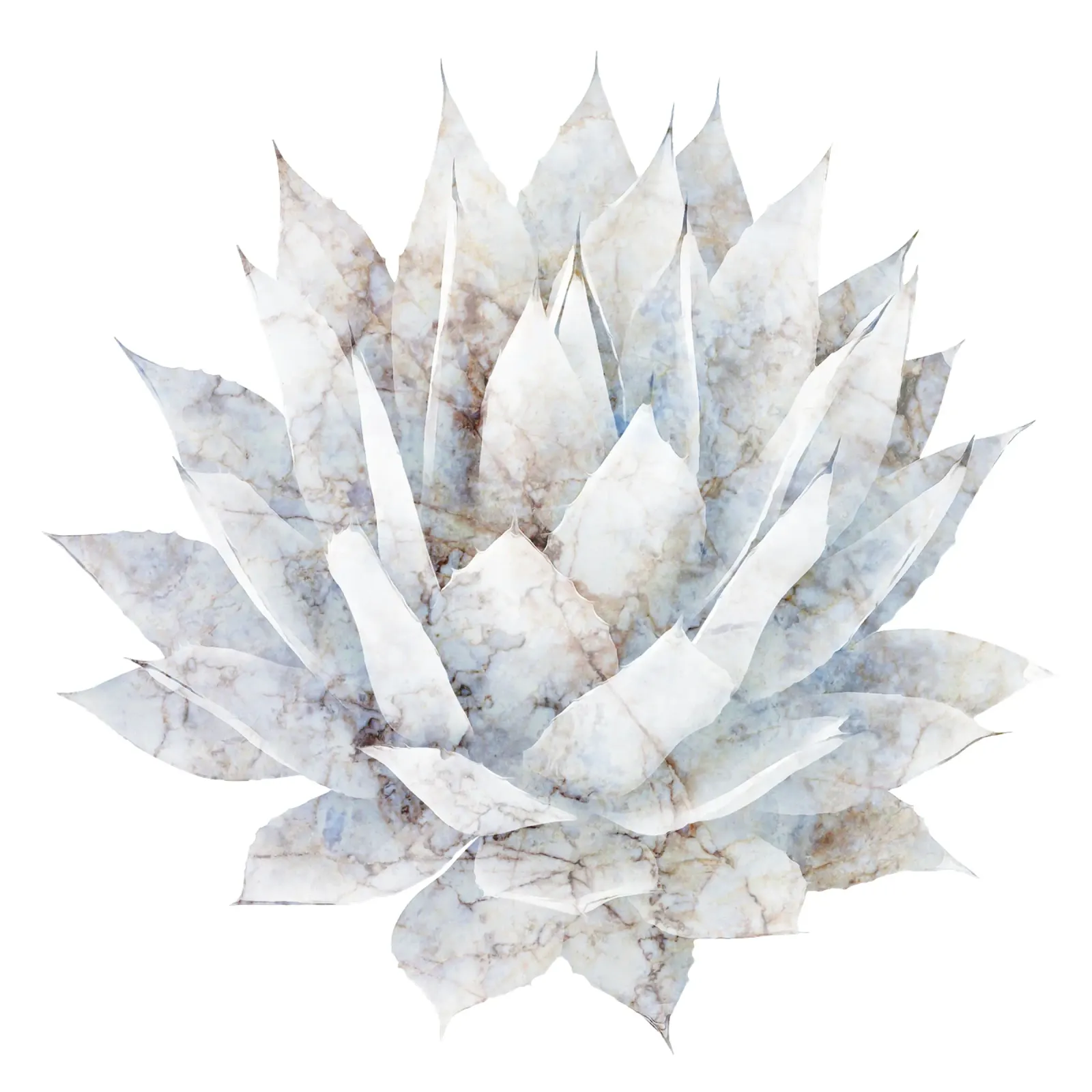 Marmo bianco Agave pellicola backlit da amini54