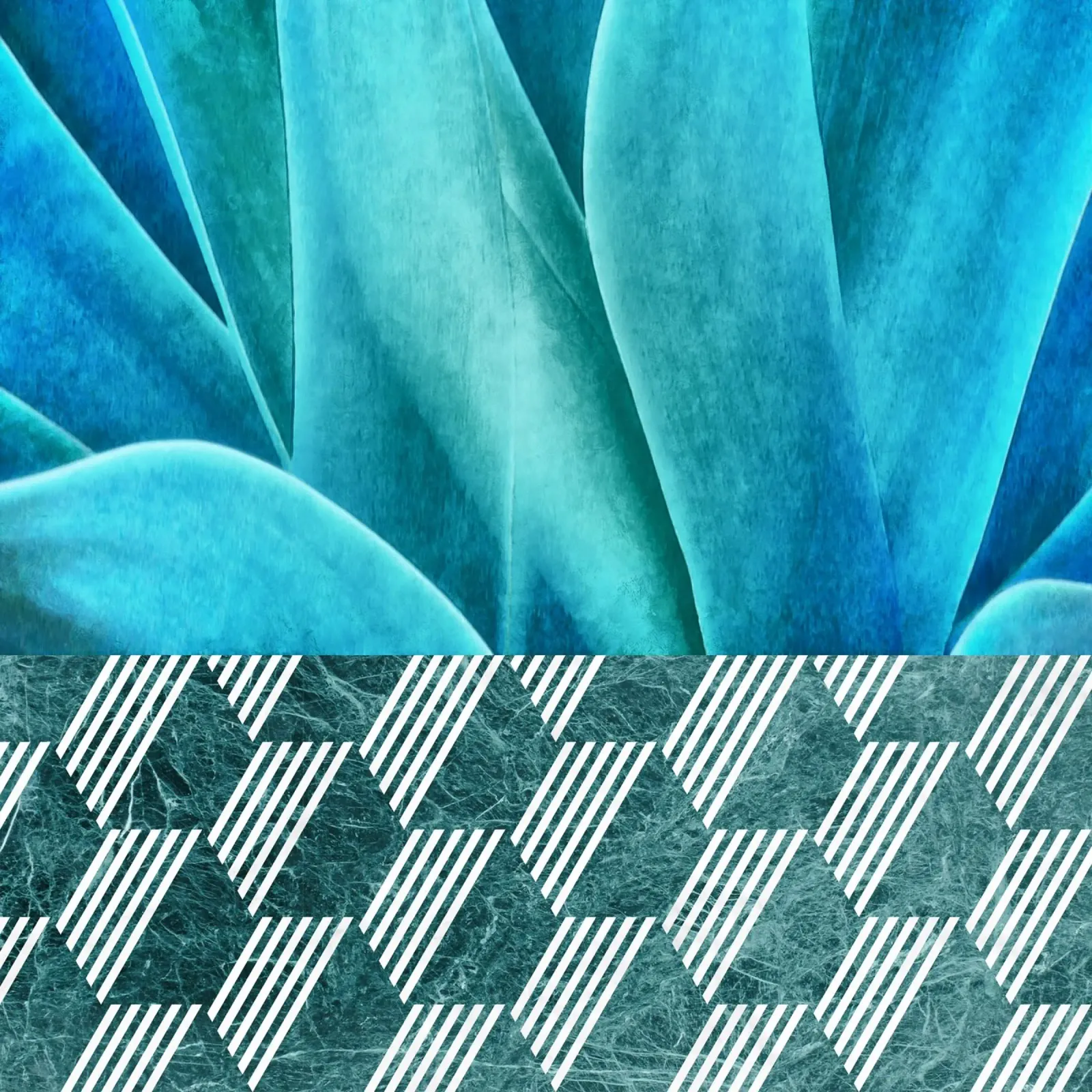 Teal Agave on Hexagonal Pattern hahnemühle by amini54