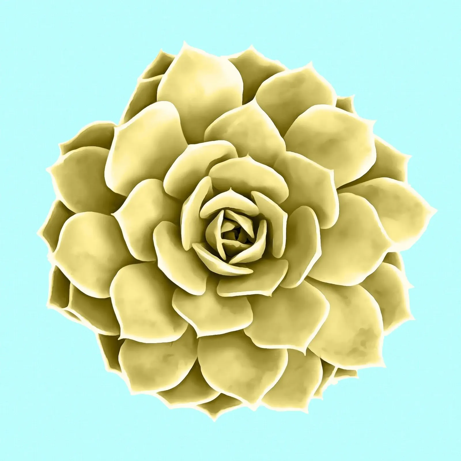 Succulente gialle su blu poster con telaio in plastica da amini54