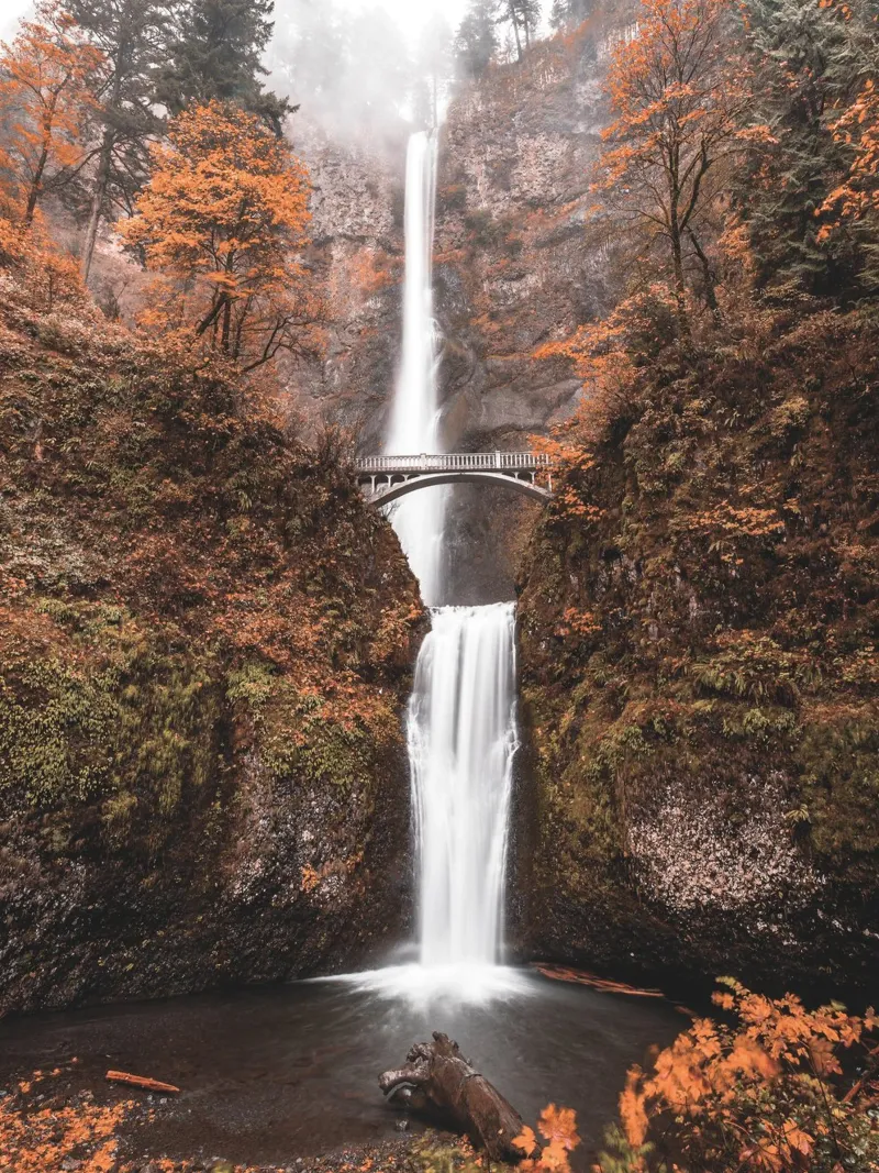 Cascata autunnale con ponte in stile vintage carta hahnemühle da Whole©