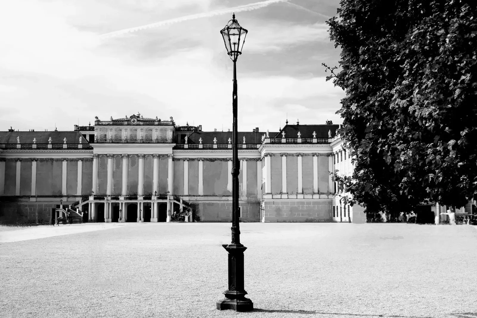 Vienna #01 Single Lantern pellicola backlit da zenitt
