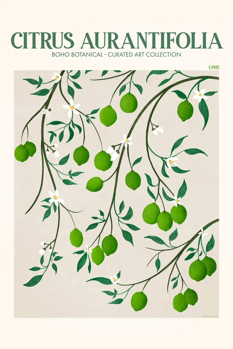 Emel Tunaboylu - Mercato della frutta Lime plexiglass da The Artcircle
