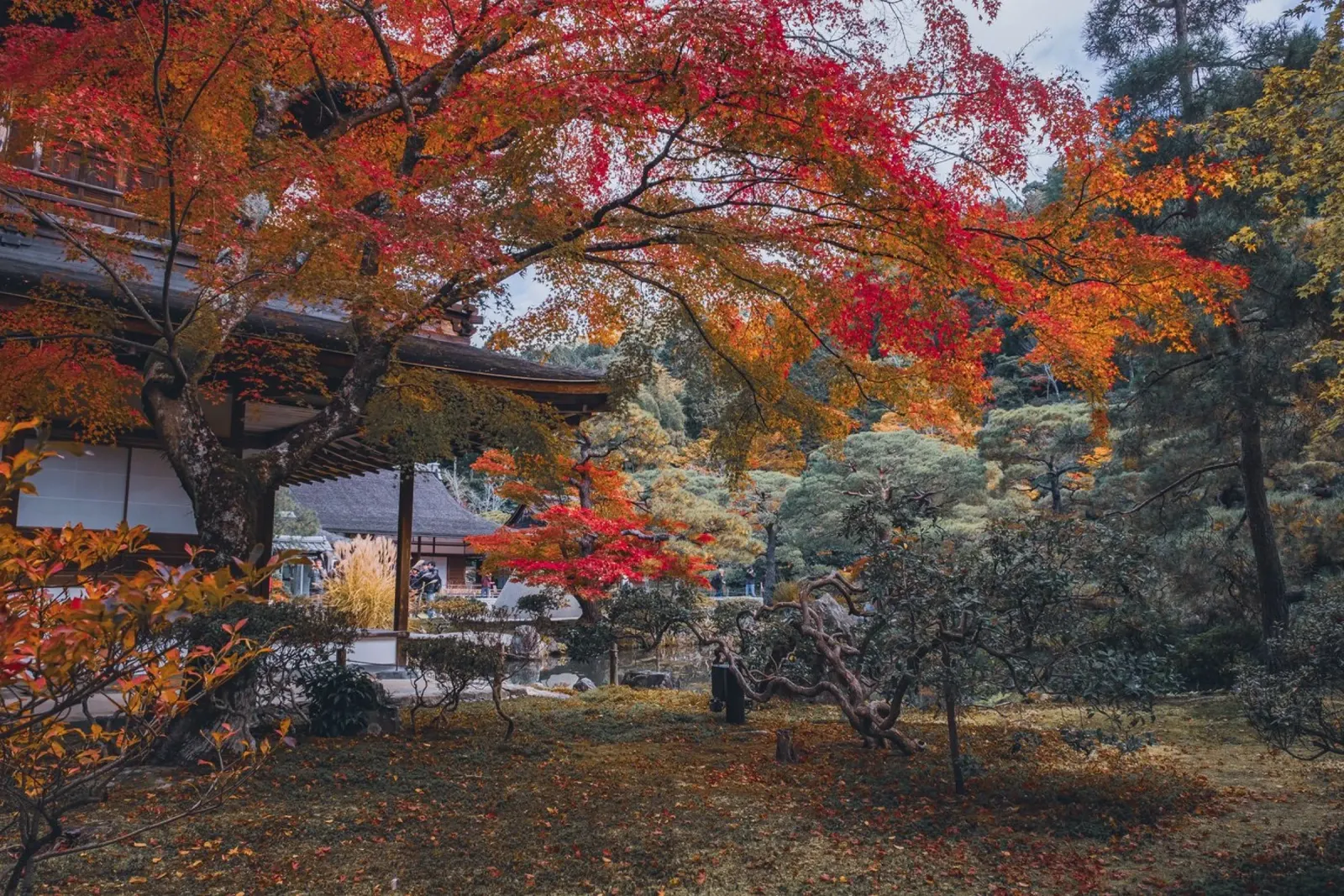Autumn Temple in Kyoto, Japan pellicola backlit da Marcel Bisig