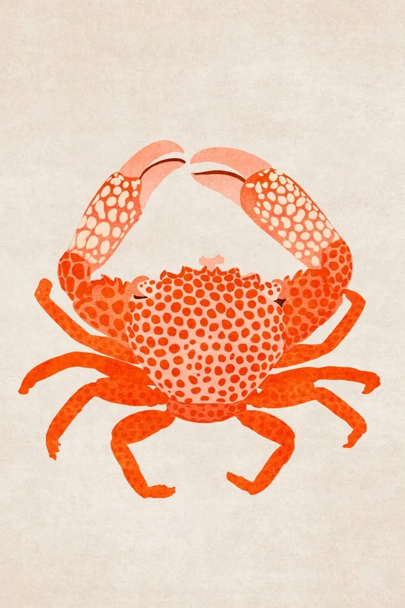 Emel Tunaboylu - Granchio rosso carta hahnemühle da The Artcircle
