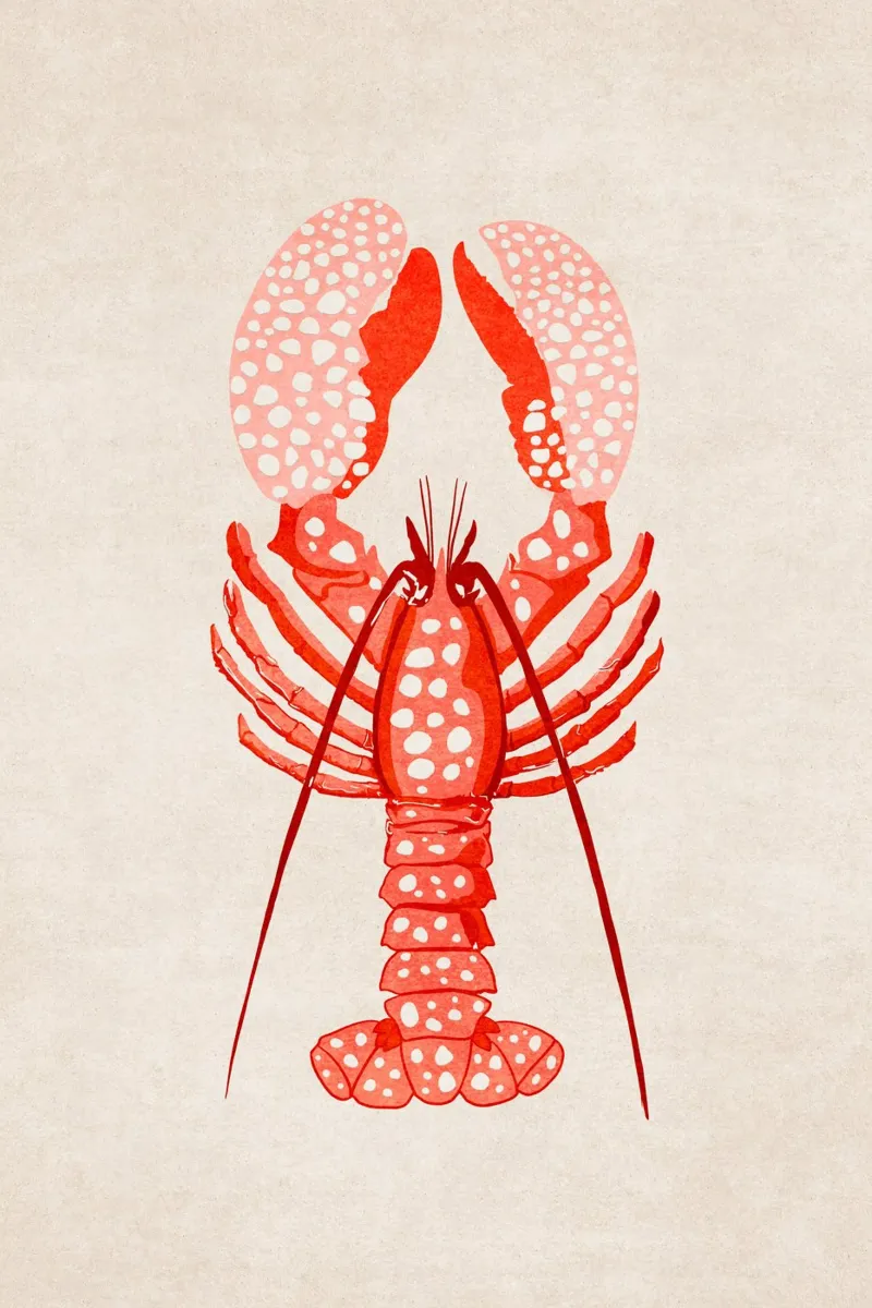 Emel Tunaboylu - Gambero Rosso pellicola backlit da The Artcircle