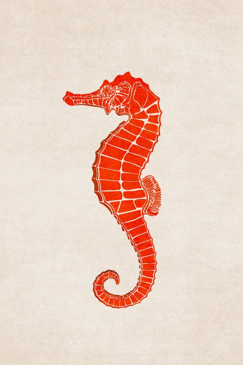 Emel Tunaboylu - Red Seahorse poster by The Artcircle