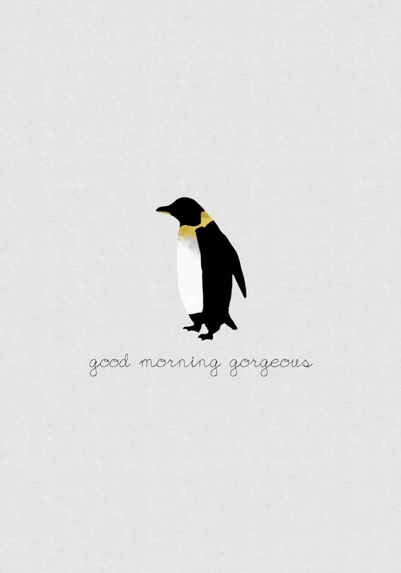 Coppia Citazione Penguin II pellicola backlit da Orara Studio