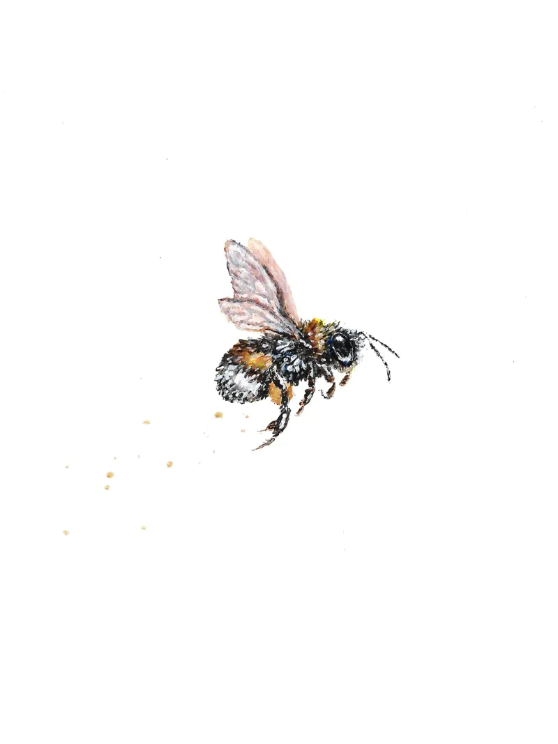 Just bee poster con telaio in alluminio da Magpie luck