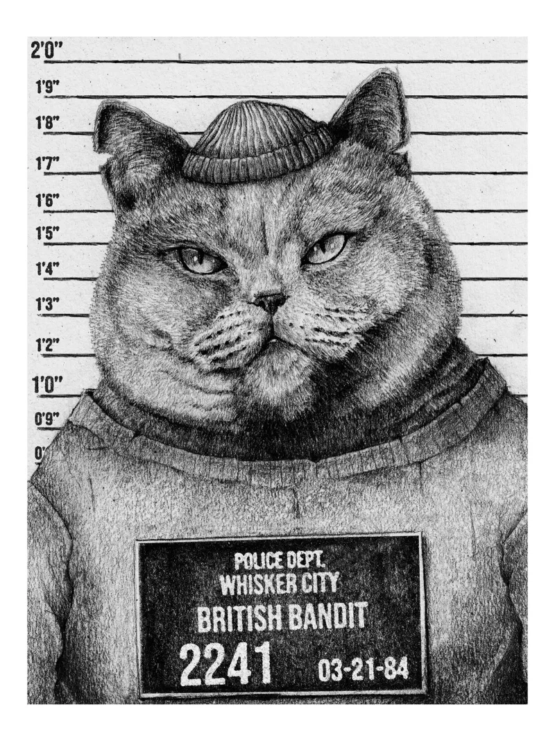 Bandito britannico poster con telaio in alluminio da mikekoubou