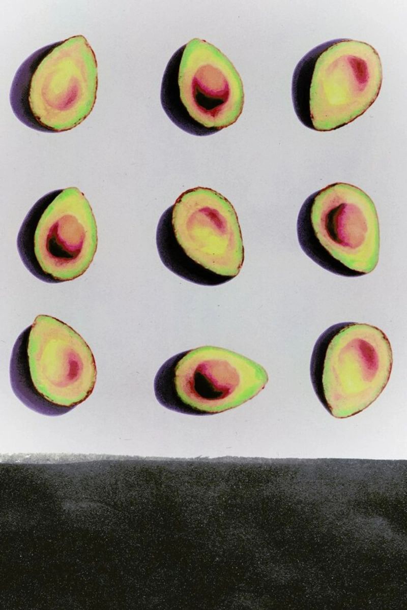 Fruit 2 poster by STUDIO LEEMO