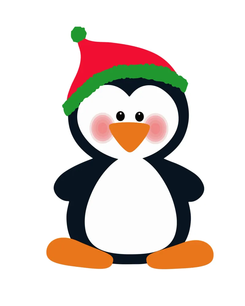 Pinguino Cappello di Babbo Natale Design divertente carta hahnemühle da ririedis