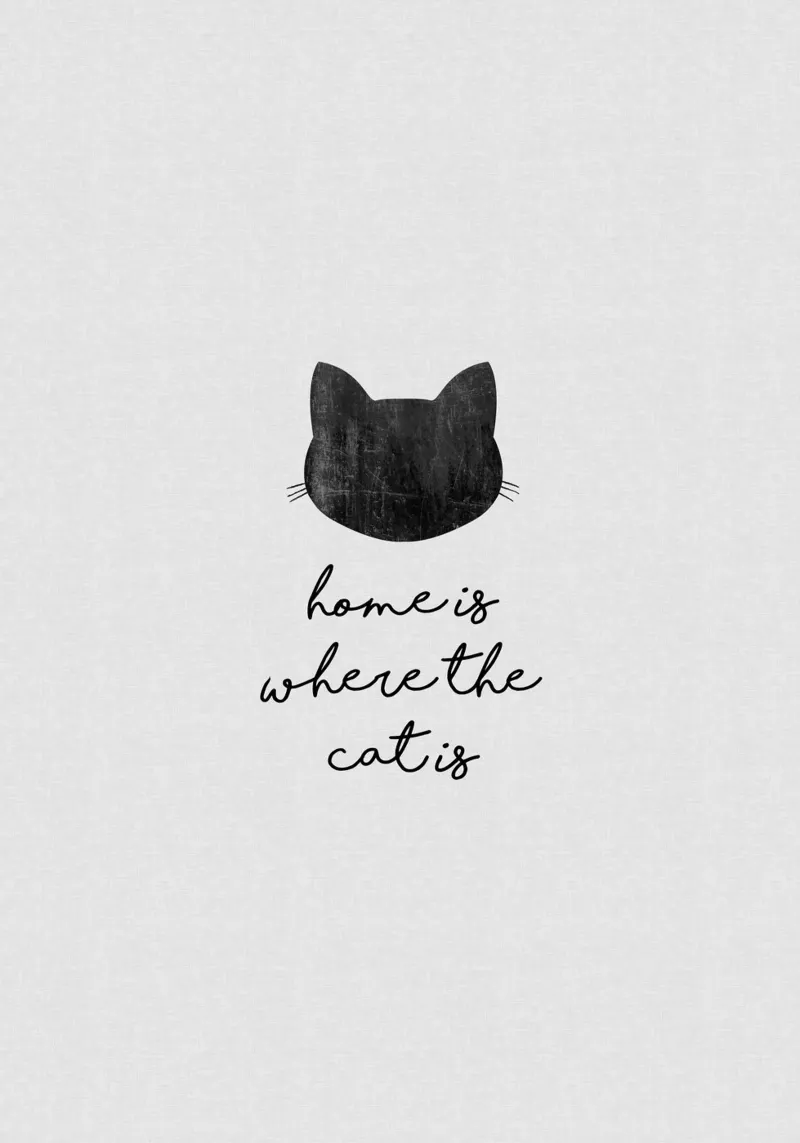 Home Is Where The Cat Is alu-dibond by Orara Studio