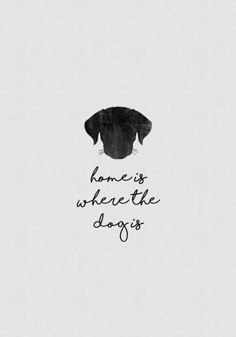 Home Is Where The Dog Is canvas with Floater frame by Orara Studio