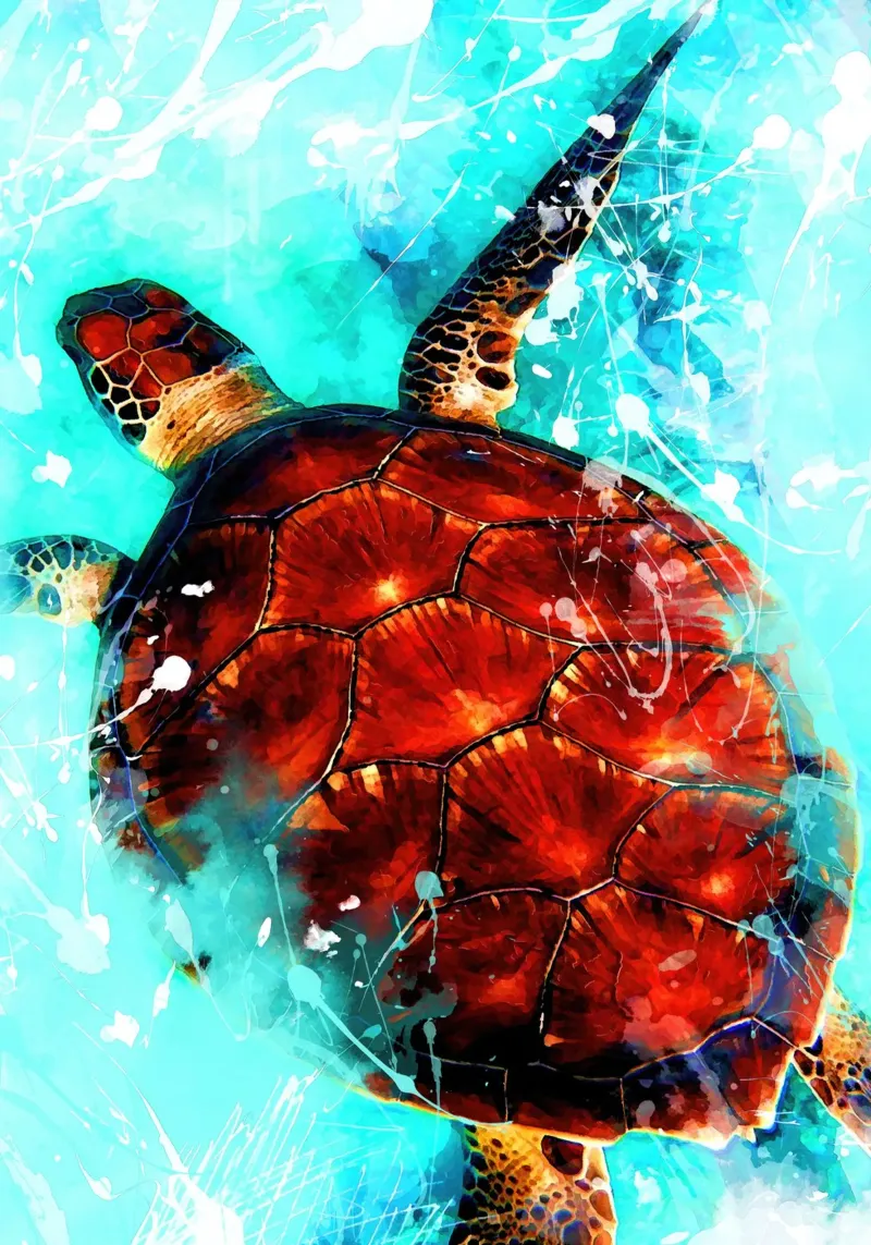 Sea turtle animal art canvas by Justyna Jaszke JBJart