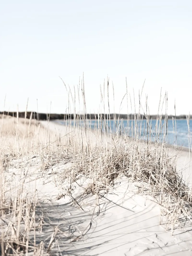 Tranquillité des plages nordiques - Paysage côtier naturel hahnemühle de Whole©