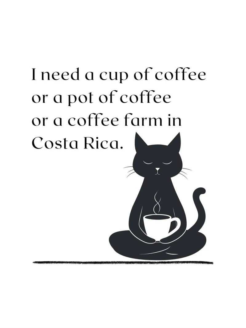 I need a cup of coffee... - Black Cat poster con telaio in alluminio da ArtDesign by KBK