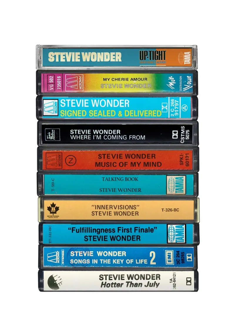 Stevie Wonder - Album raccolti - Stampa su cassetta pellicola backlit da MrMustardPrints