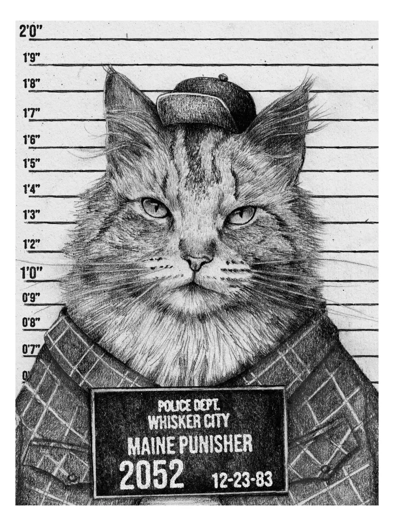 Il Punitore del Maine - Un felino con un'attitudine tela con Cornice a cassetta da mikekoubou