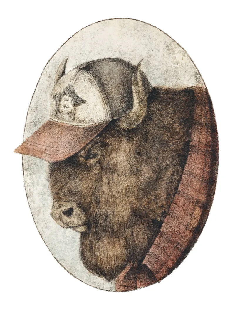 McBison - Forza selvaggia con un tocco celtico poster da mikekoubou