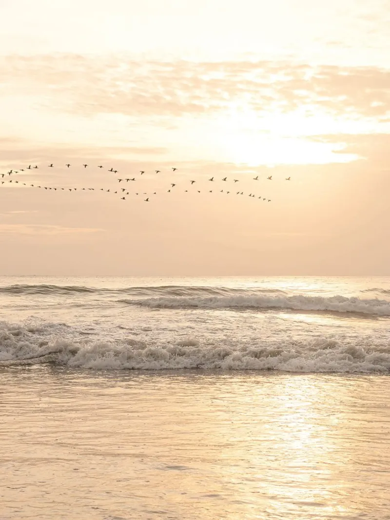 Zonsondergang aan zee - rustgevend strandmotief canvas met Baklijst van Whole©
