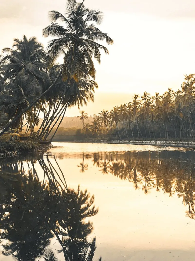 Tramonto tropicale - palme e riflesso dell'acqua poster con telaio in legno da Whole©
