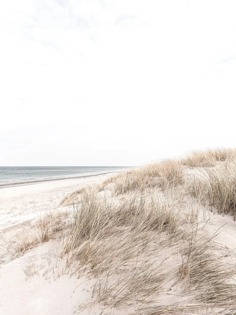 Rustig strandlandschap - minimalistisch natuurlijk ontwerp canvas van Whole©
