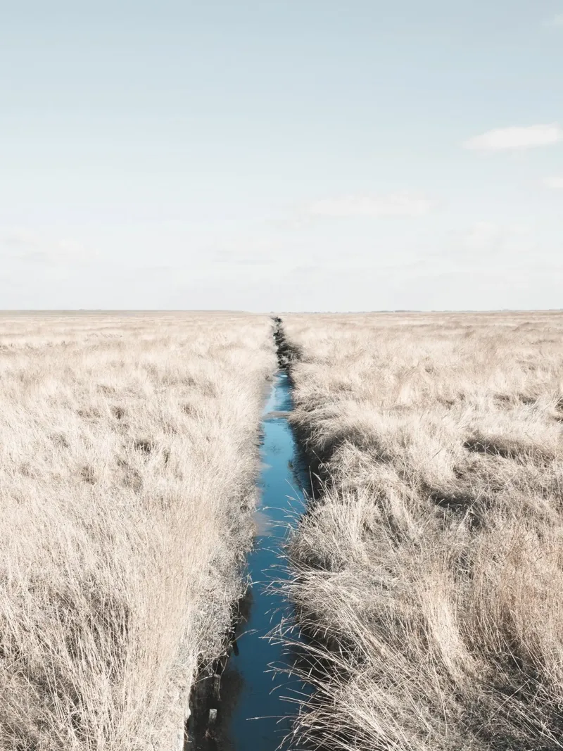 Weids graslandschap met rustige waterloop hahnemühle van Whole©