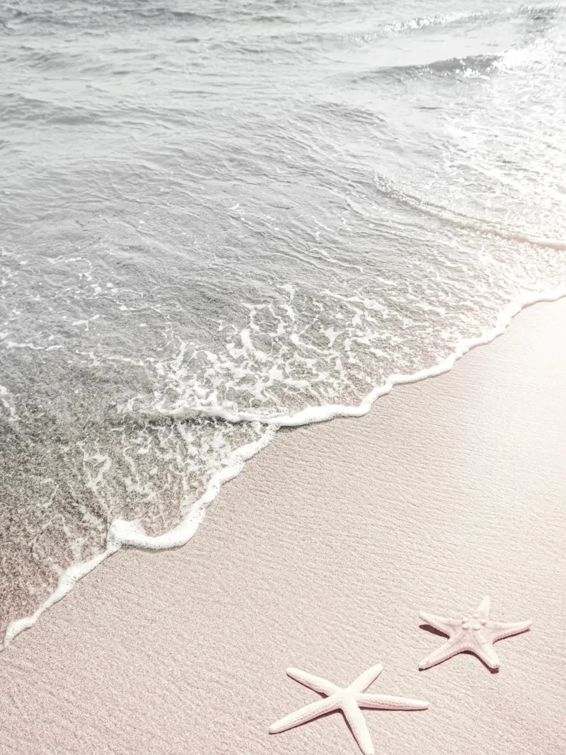 Plage douce avec étoiles de mer hahnemühle de Whole©