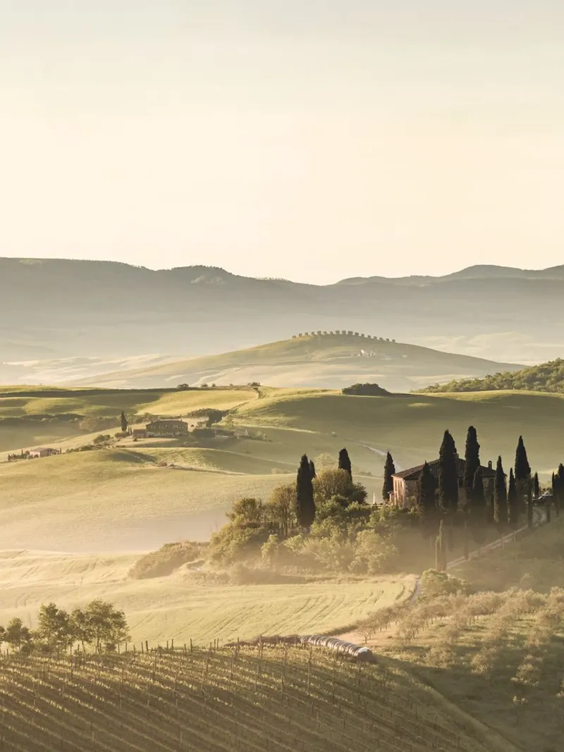 Campagna toscana - colline romantiche e cipressi tela da Whole©