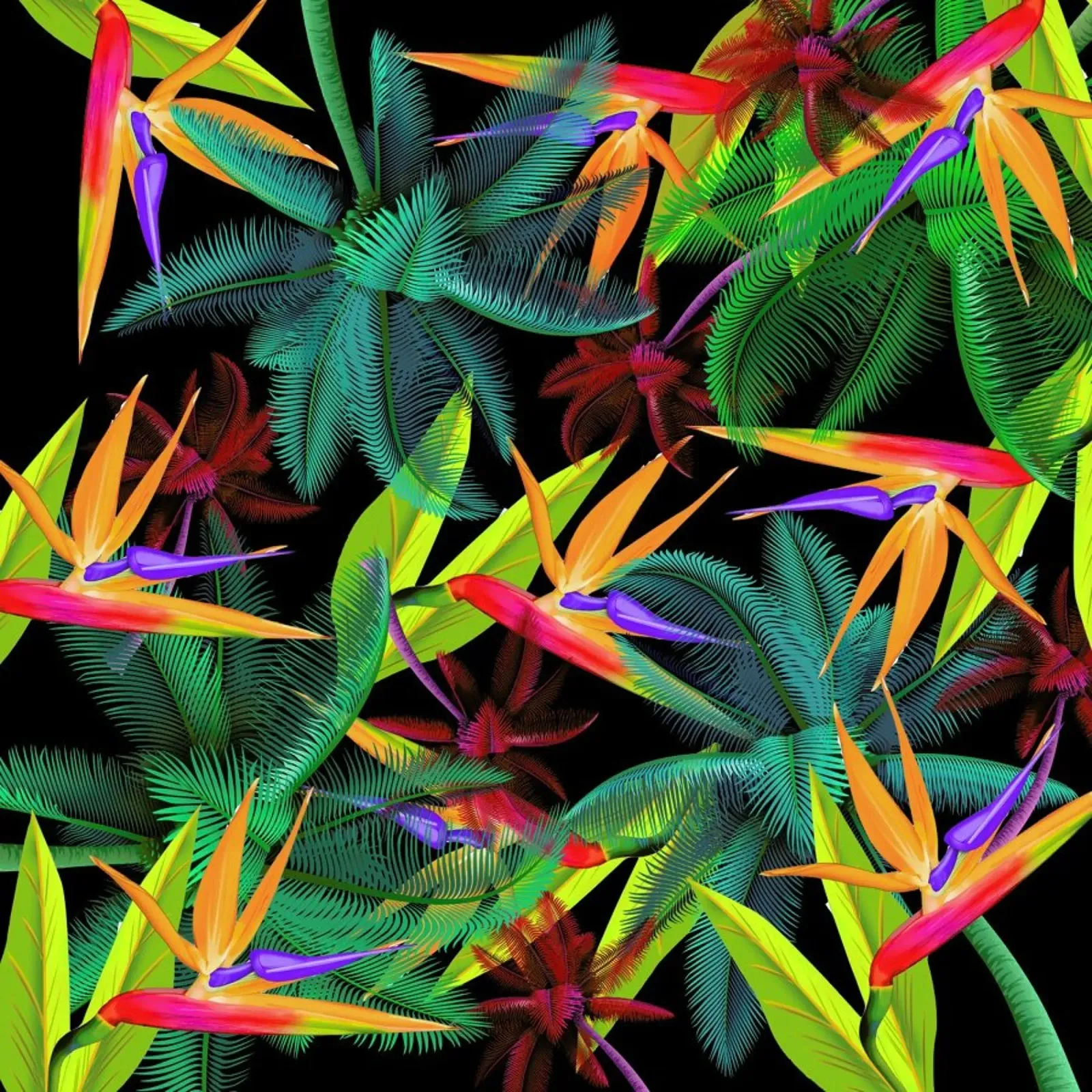 Bird of paradise pellicola backlit da Mark Ashkenazi