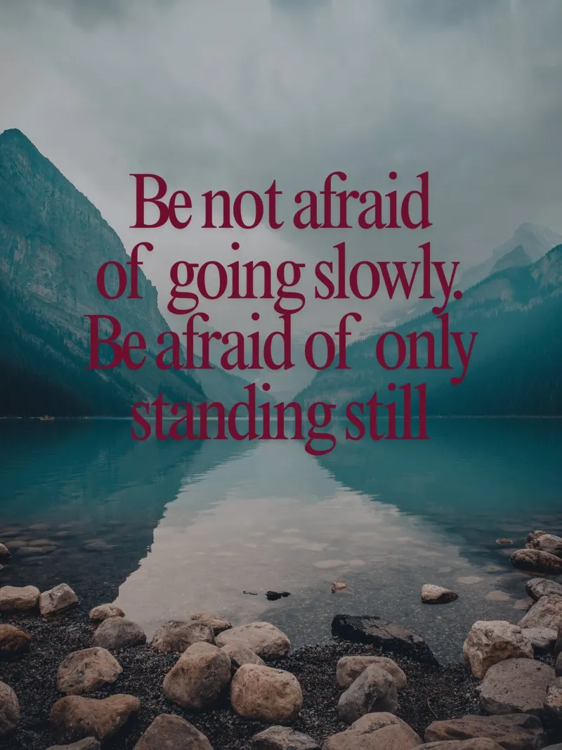 Slow and Steady Progress canvas by inspirational quote