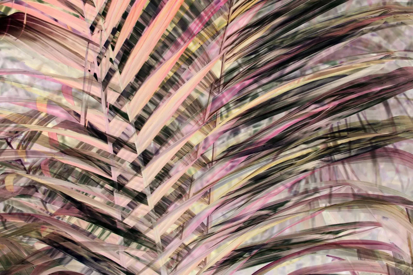 Palm Vibe 07 pellicola backlit da amini54