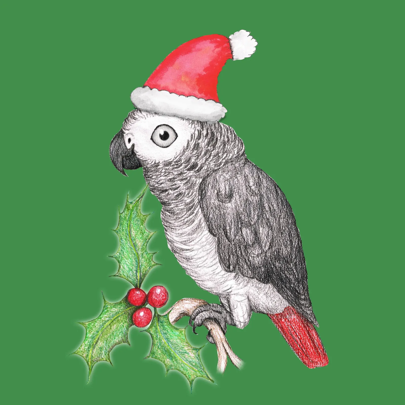 Pappagallo grigio africano di Natale pellicola backlit da BwiseLizzy