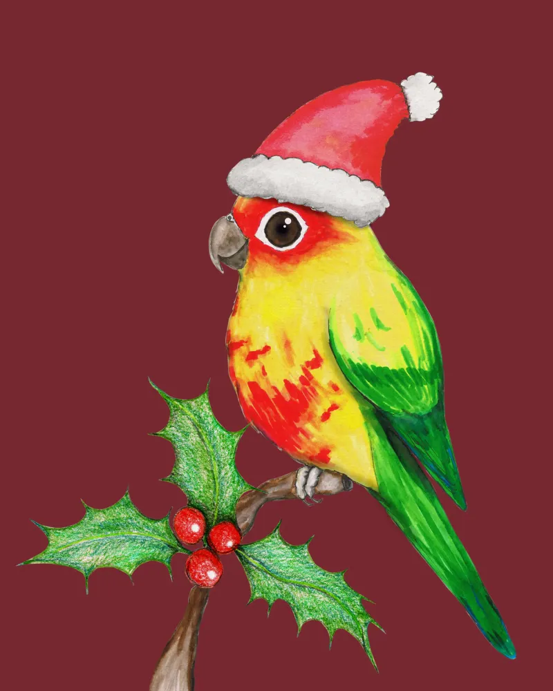 Conure sol de Navidad lienzo con Marco flotante de BwiseLizzy
