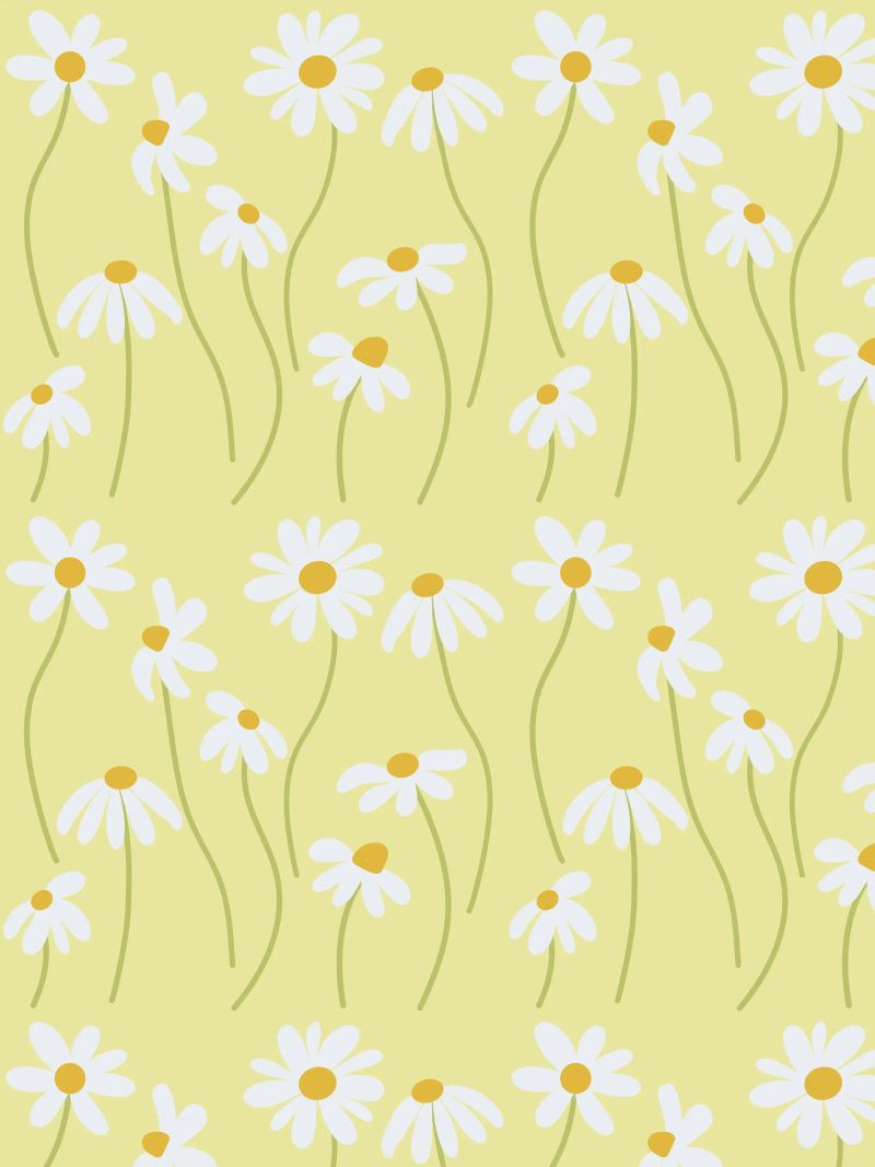 Gänseblümchen Muster Poster von Illustration Raissa Oltmanns