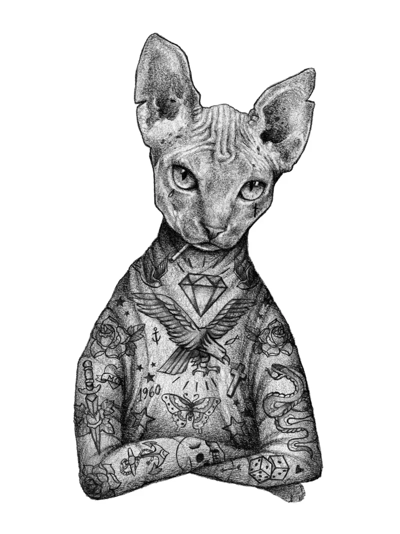 Lo Sphynx pellicola backlit da mikekoubou