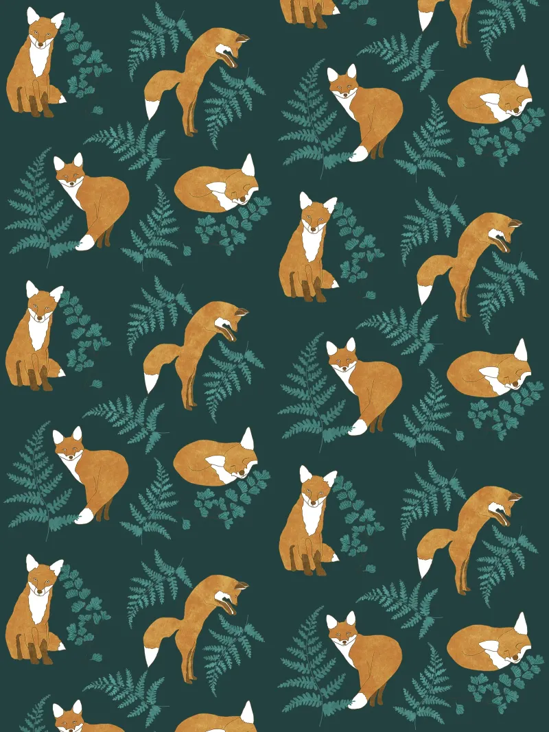 Neugieriger Fuchs Acryl-Glas von Illustration Raissa Oltmanns
